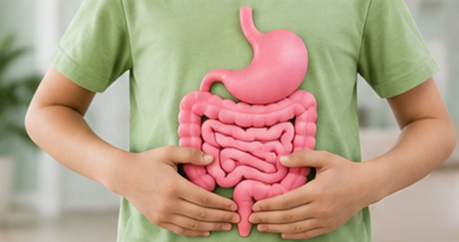 How Daily Movement Supports Digestion