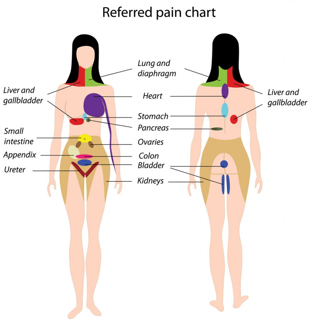 Stomach Ache Chart