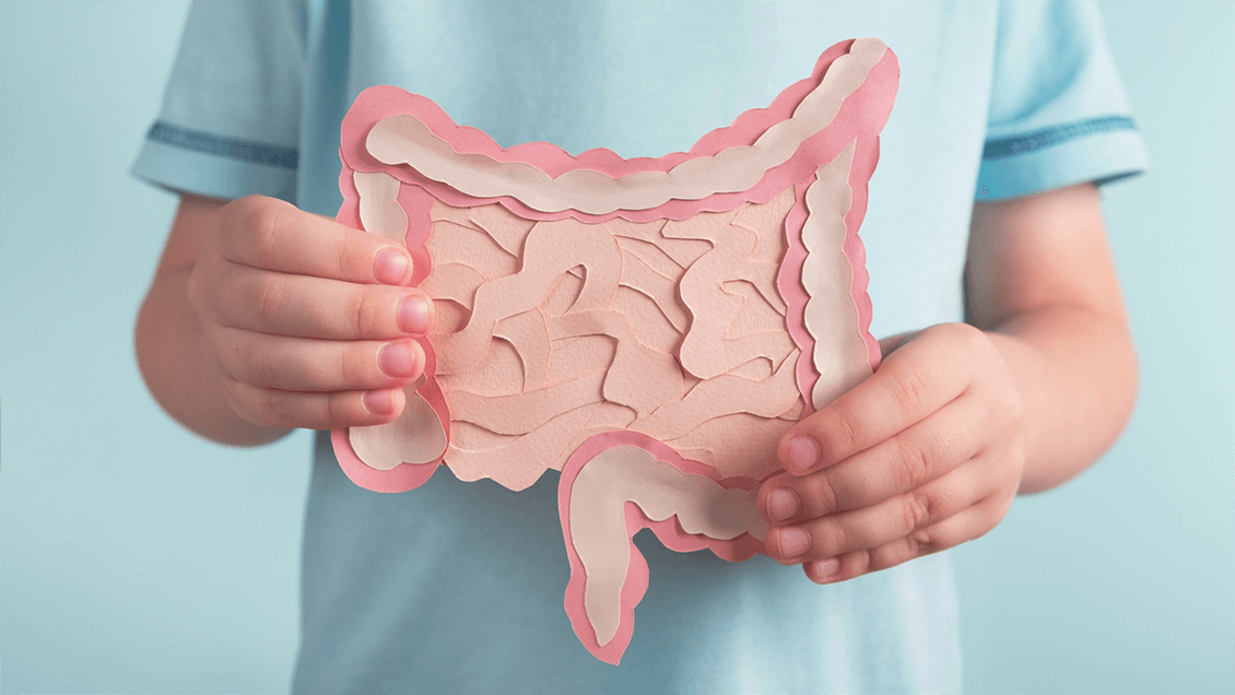 A Diagram Showing a Child's Healthy Digestive System - Illustrating Probiotics and if you should consider a probiotic supplement for your child